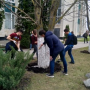 Вклад института ЭИТУС в благоустройство города